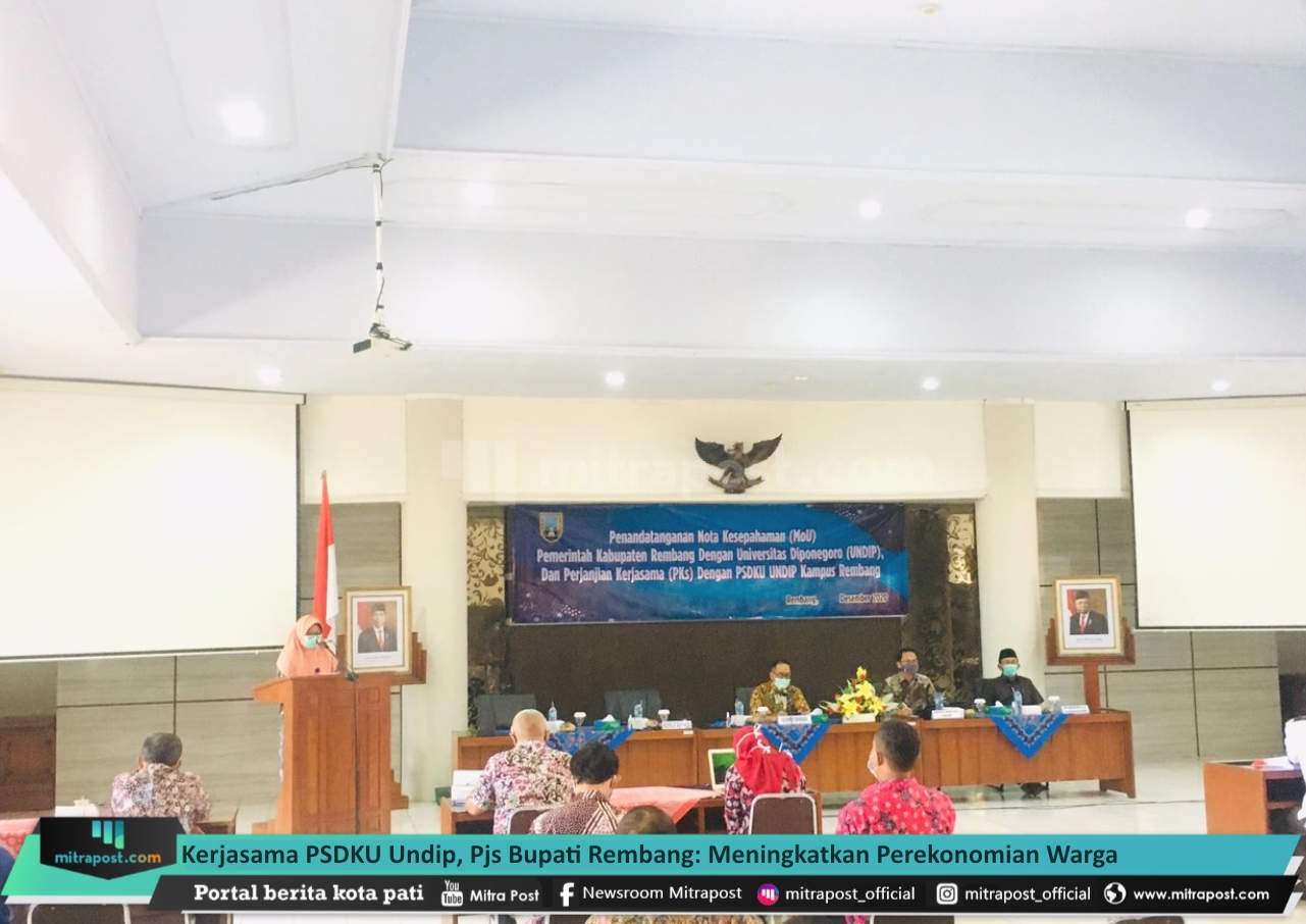 kerjasama Undip