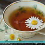 MANFAAT TEH CHAMOMILE, CEGAH OSTEOPOROSIS HINGGA JAGA DAYA TUBUH