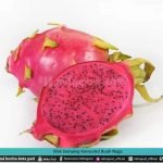 EFEK SAMPING KONSUMSI BUAH NAGA