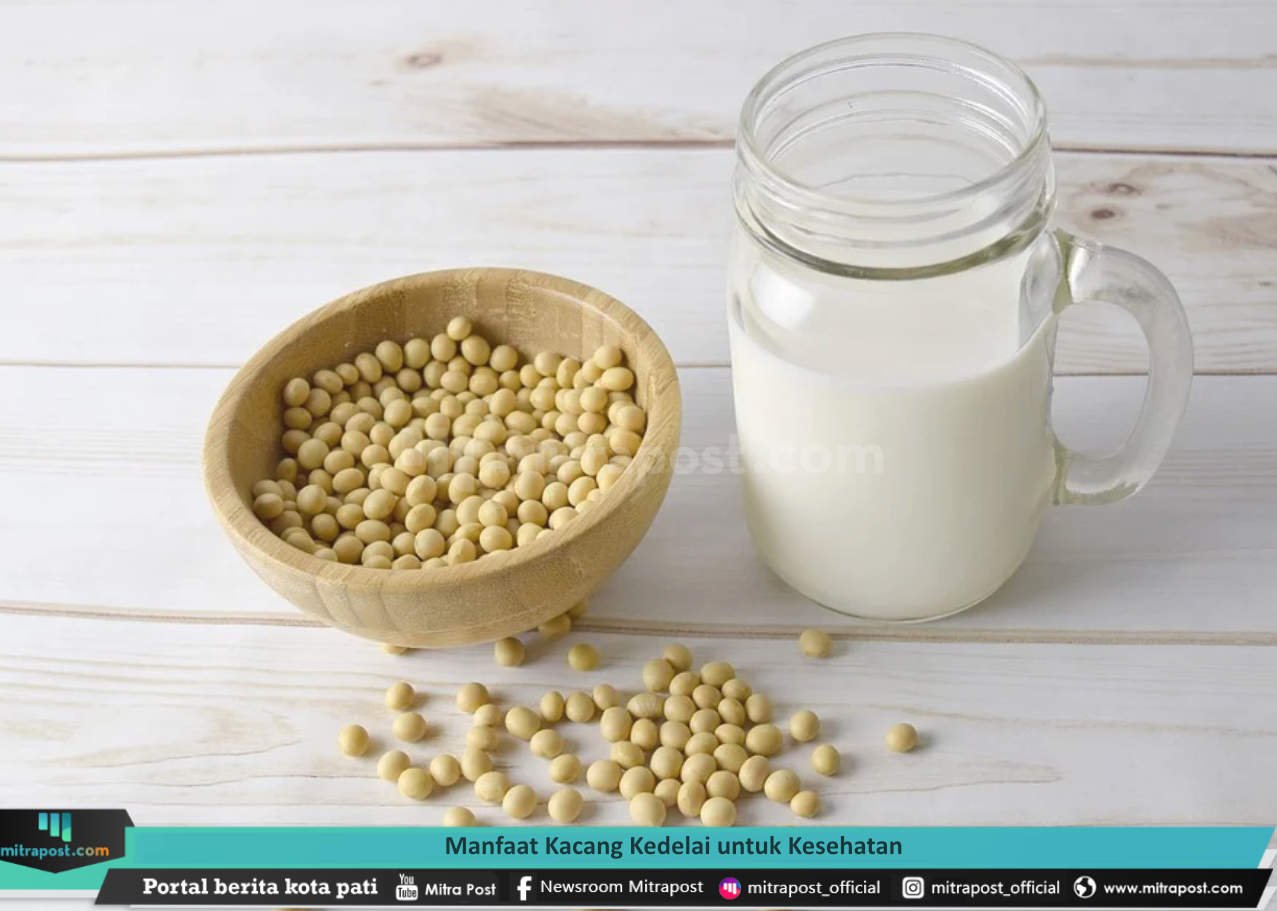 MANFAAT KACANG KEDELAI UNTUK KESEHATAN