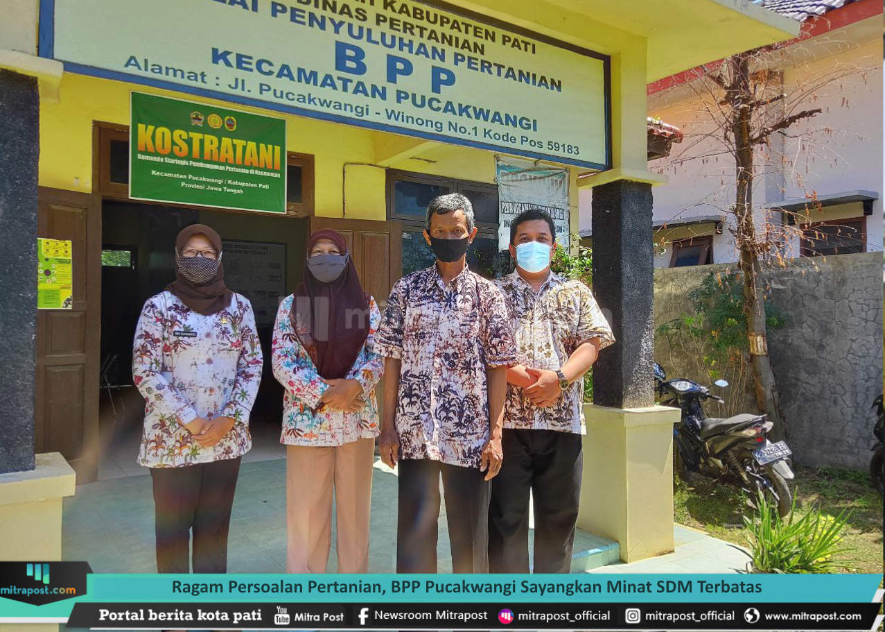 RAGAM PERSOALAN PERTANIAN, BPP PUCAKWANGI SAYANGKAN MINAT SDM TERBATAS