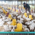 SEJUMLAH PETERNAK GELAR AKSI DAMAI DI KEMENTAN