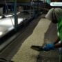 Produk PT Dua Kelinci Aman dari Covid-19-