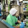 Produk PT Dua Kelinci Aman dari Covid-19-