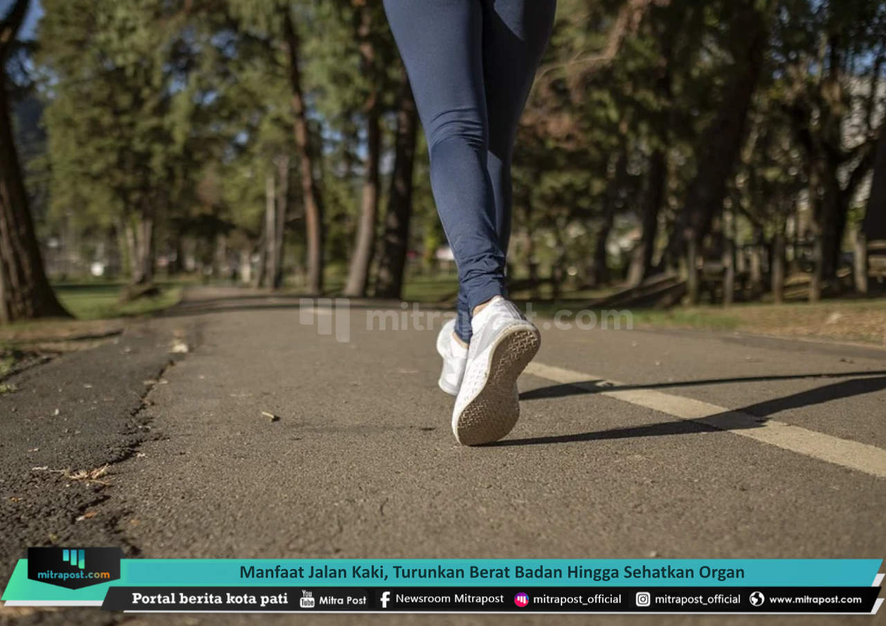 MANFAAT JALAN KAKI, TURUNKAN BERAT BADAN HINGGA SEHATKAN ORGAN