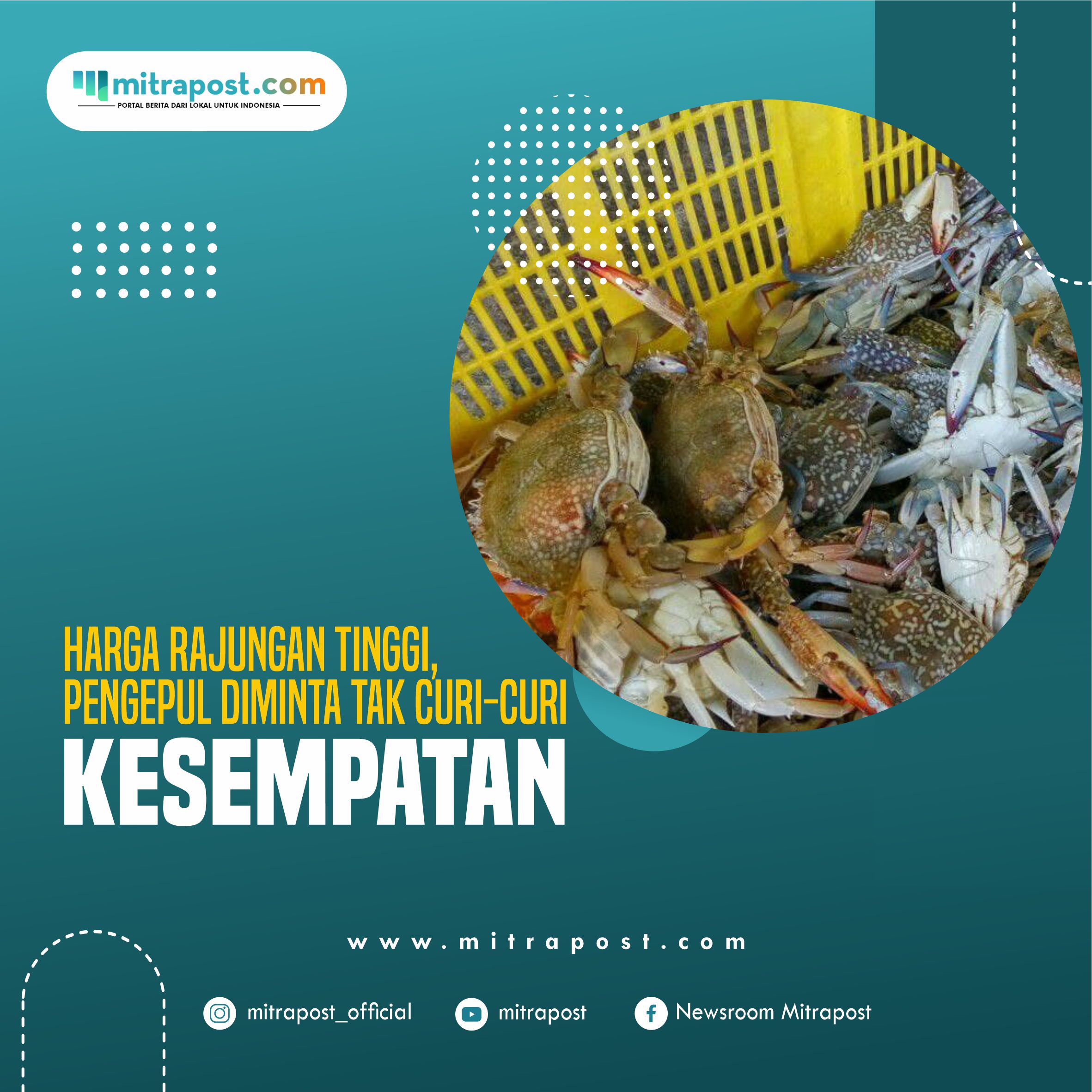 Harga Rajungan Tinggi, Pengepul Diminta Tak Curi-Curi Kesempatan