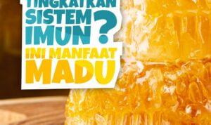 TINGKATKAN SISTEM IMUN, INI MANFAAT MADU