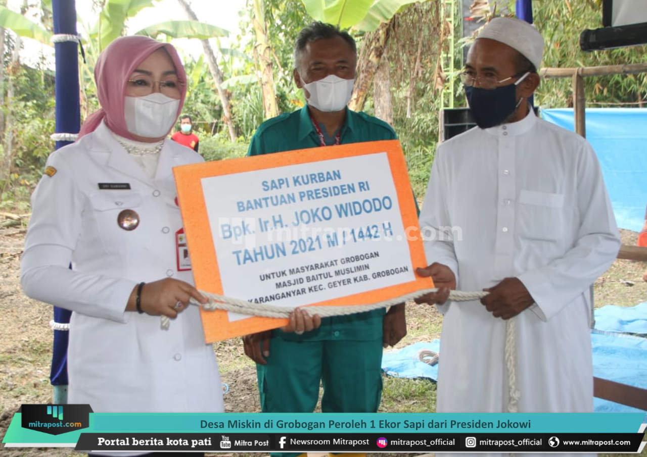 DESA MISKIN DI GROBOGAN PEROLEH 1 EKOR SAPI DARI PRESIDEN JOKOWI