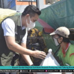 BUPATI KENDAL BAGIKAN SEMBAKO KEPADA PEDAGANG DAN TUKANG BECAK