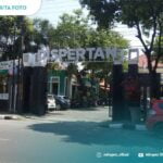ASN Pati Borong 1,8 Kwintal Cabai Merah Petani Sukolilo
