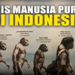 10 Jenis Manusia Purba yang Ada di Indonesia