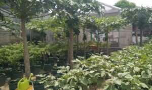 Poktan di Yogyakarta Sisihkan Hasil Panen, Bantu Warga Isoman