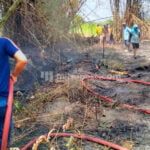 LAHAN BAMBU DI JAKENAN TERBAKAR, DAMKAR DIKERAHKAN