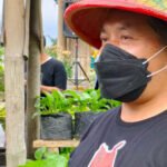 KWT DI WONOSOBO SUKSES KEMBANGKAN KAMPUNG SAYUR ORGANIK