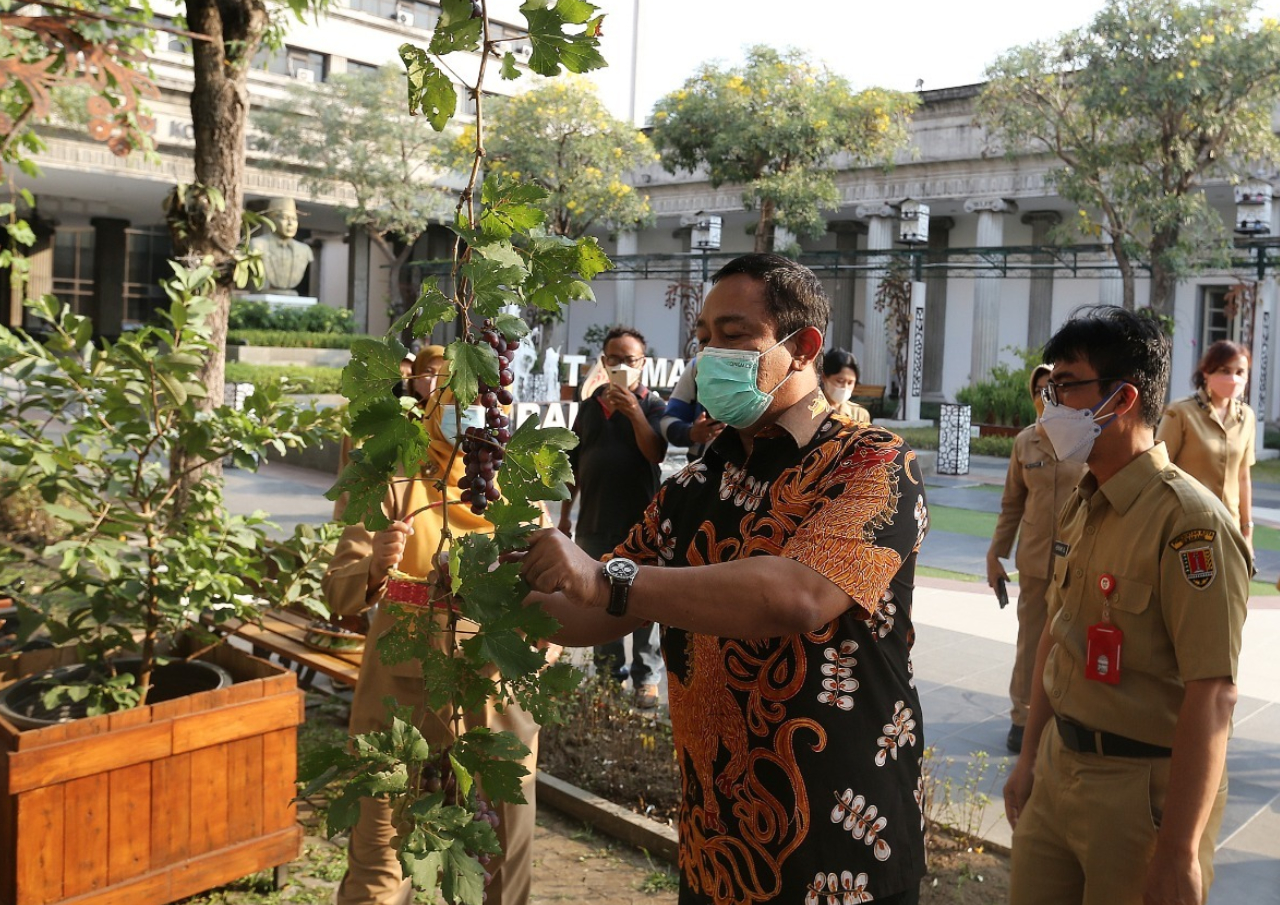 Balai Kota Semarang Akan Jadi Green Building
