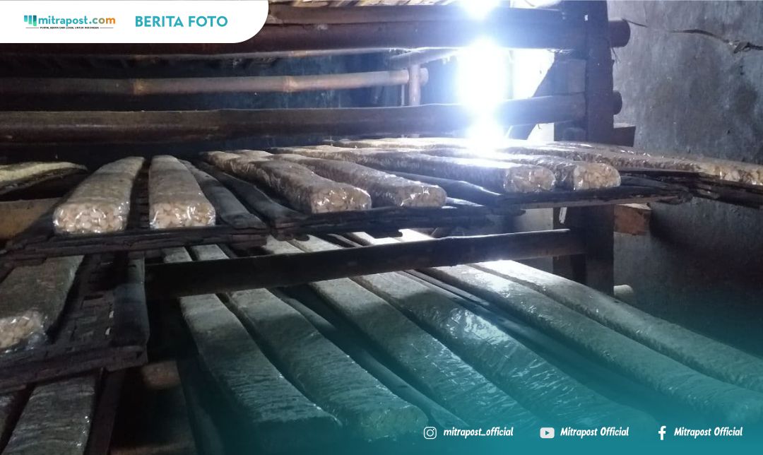 Lorong Tempe, Penyuplai Tempe ke Beberapa Kecamatan