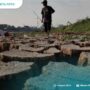 3 Kecamatan di Pati Mulai Alami Kekeringan