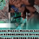 Berita Viral, Bocah di Magetan Hilang Misterius, Diduga Disembunyikan Setan
