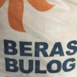 Dirut Perum Bulog Bicara Bulog Berpotensi Merugi