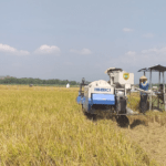 Peringati Hari Pangan, Petani Milenial Diharapkan Berperan