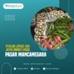 Petai dan Jengkol dari Jateng Diminati Hingga Pasar Mancanegara