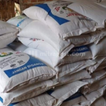 Pupuk Subsidi di Rembang Telah Terserap 85 Persen untuk MT-1