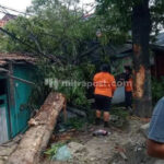 BPBD Kabupaten Rembang Ungkap Kejadian Bencana Sepanjang 2021 Ini