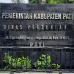 Jelang Tahun Baru, Stok Daging di Pati Masih Aman