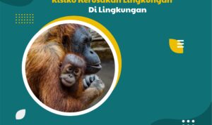 Konsep City in The Forest Munculkan Risiko Kerusakan Lingkungan di Kalimantan