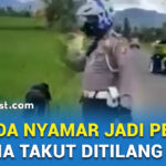 TAKUT DITILANG, DUA PEMUDA DI GORONTALO NYAMAR JADI PETANI