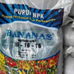 Kado Pahit Tahun Baru, Harga Pupuk Non Subsidi Naik 100 Persen