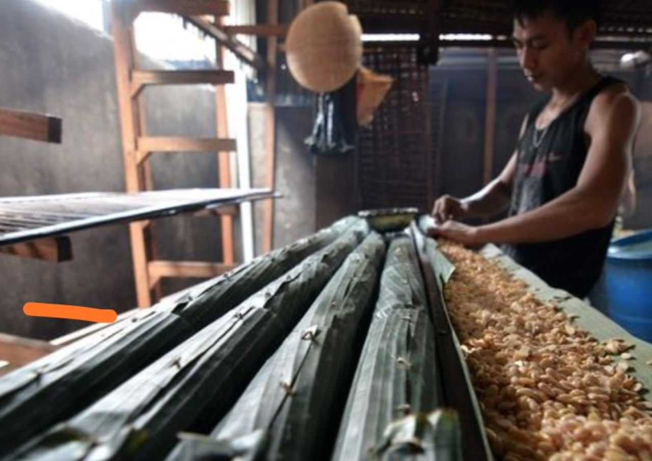 Harga kedelai Import meroket, Dewan Pati Bicara Kesejahteraan Pengusaha Kecil Tempe dan Tahu