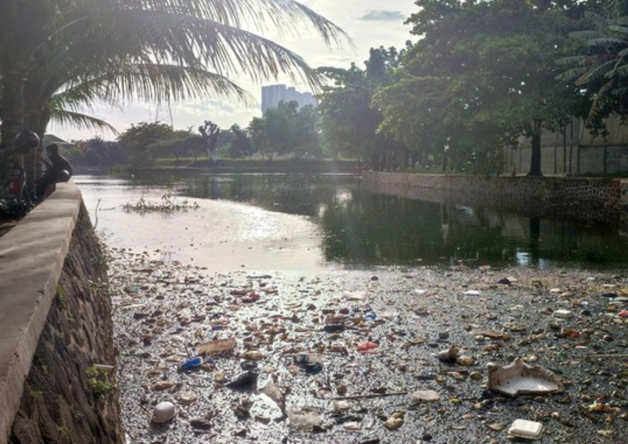 Ikan Mengambang, 4 Perusahaan Cemari Sungai Citongtut