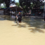 Jakenan Kembali Dilanda Banjir, Jalan Utama Lumpuh