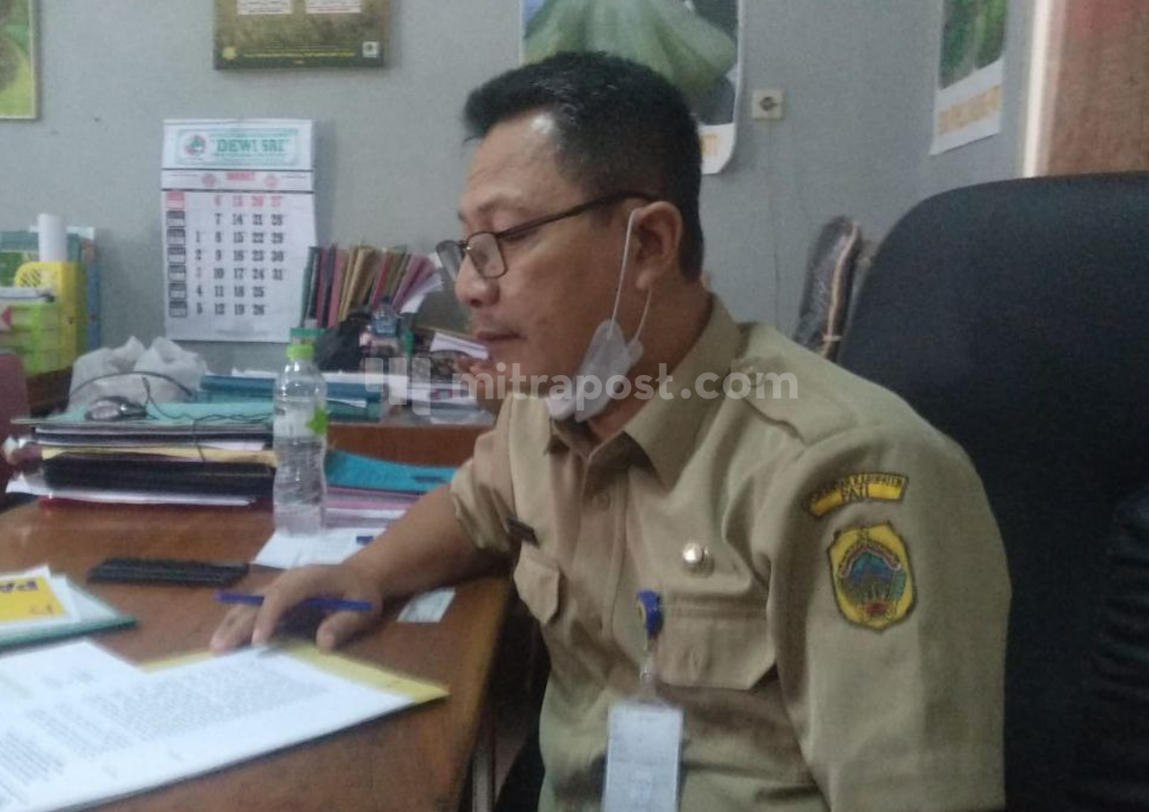Komoditas Pertanian Organik Diharapkan jadi Produk Unggulan di Kabupaten Pati
