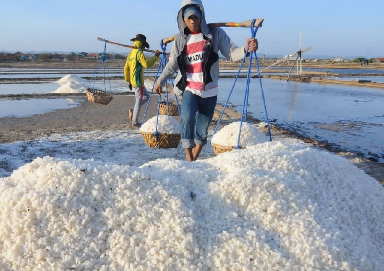 Petani Garam di Pati Harapkan Stabilitas Harga Terjaga
