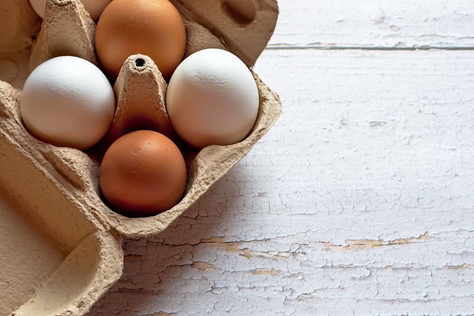 Harga Telur Menginjak Rp26 Ribu per Kilogram
