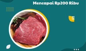Harga Daging Sapi Secara Nasional Diprediksi Naik Mencapai Rp200 Ribu