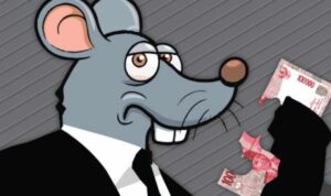tikus negara