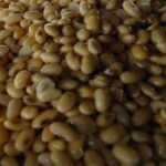 Lahan Berkurang, Stok Kedelai Rembang Masih Minus