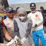 Gus Hanies Gotong Royong Lakukan Kerja Bakti di Pesisir Utara Sarang