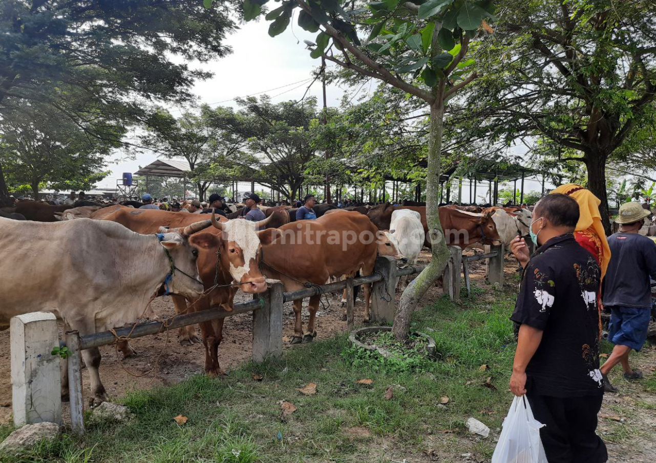 Dua Pasar Hewan di Rembang Tutup Gara-gara PMK