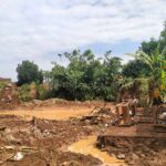 Tanggul Jebol hingga 25 Meter Akibatkan Banjir Bandang di Desa Tunjungrejo Pati