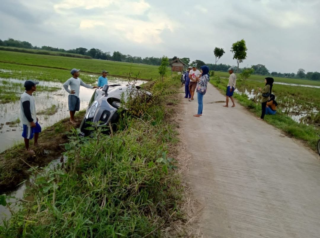 Foto : Warga Desa Kedalingan Kecamatan Tambakromo Gotong-royong Evakuasi Mobil yang terperosok ke sawah (Sumber : palevioletred-jellyfish-458835.hostingersite.com/Anang SY)