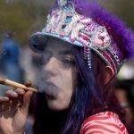Pemerintah akan Analisis Baik Buruknya Legalisasi Ganja untuk Keperluan Medis