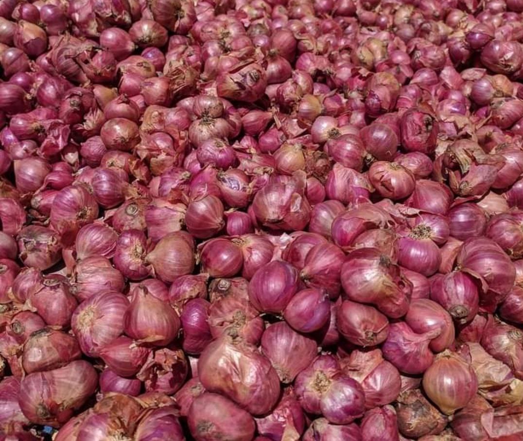 Harga Bawang Merah di Pati Merangkak Naik