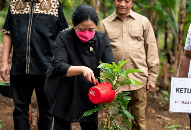 Hadiri Penghijauan di Penyangga Hutan Lindung Rajabasa, Puan Tanam Alpukat Bersama Masyarakat