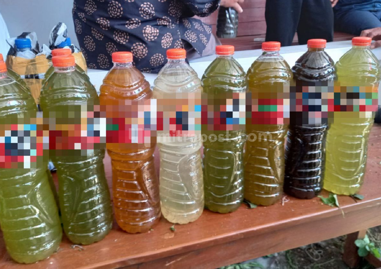 Mudah dan Murah, Berikut Cara Pengaplikasian Biosaka pada Tanaman