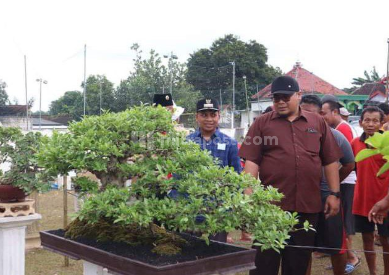 Pameran Bonsai Mendapat Dukungan dari Pemkab Rembang