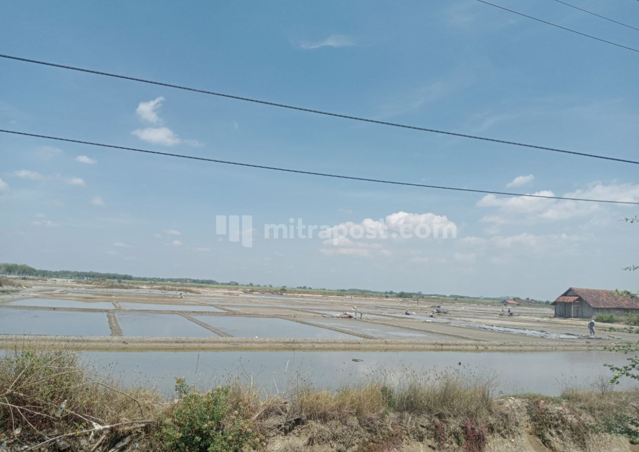 Sebagian Kecil Petani Garam di Rembang Manfaatkan Bulan Agustus untuk Lakukan Produksi